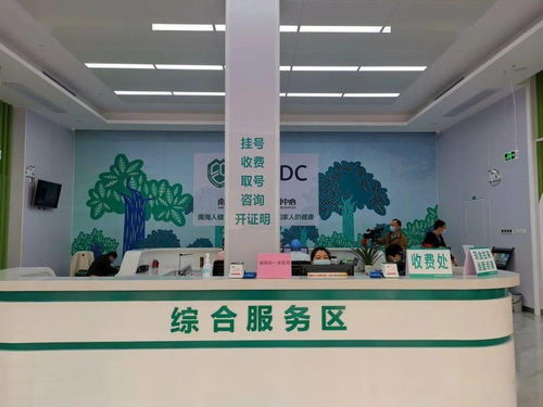 大瀝預防保健門診正式揭牌 夯實基層健康防線，推動全鎮基本公共衛生服務再上新臺階